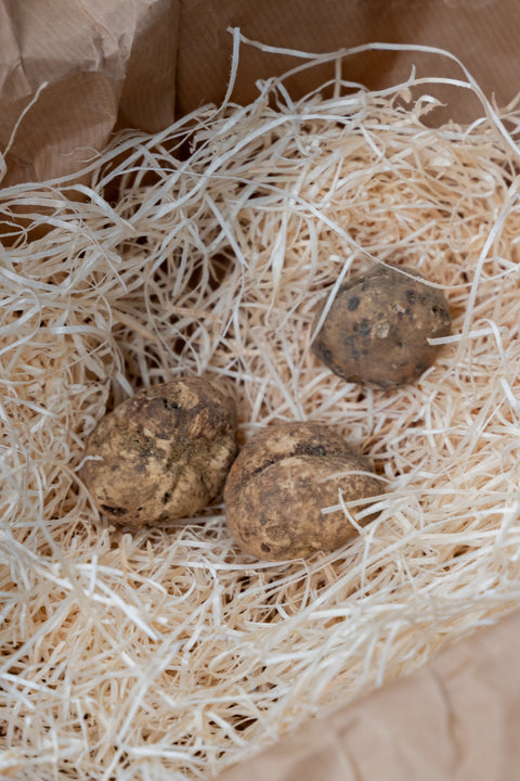 Truffels