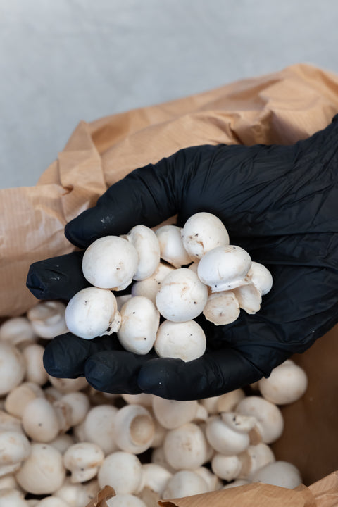 Champignons wit mini