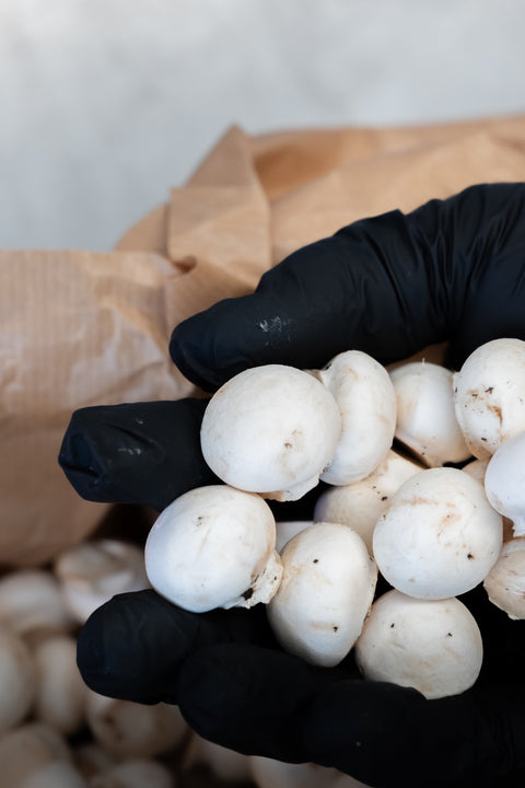 Champignons wit mini