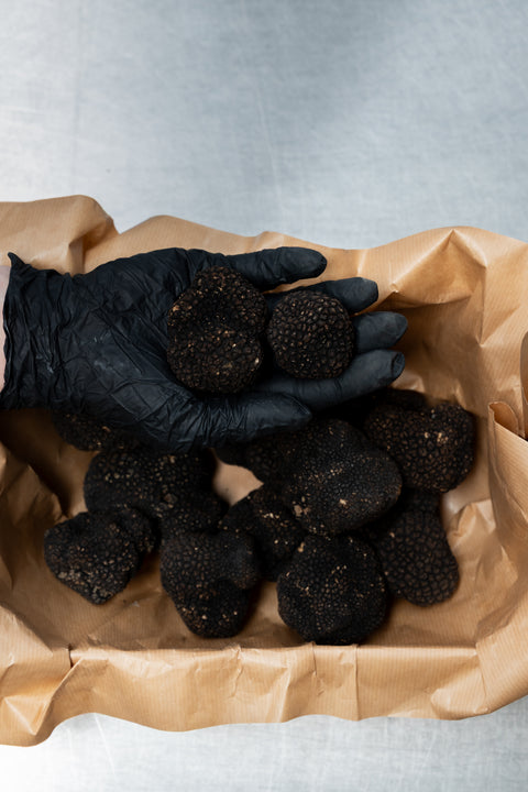 Wintertruffel per gram