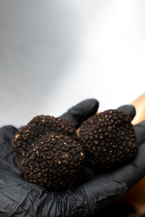 Wintertruffel per gram