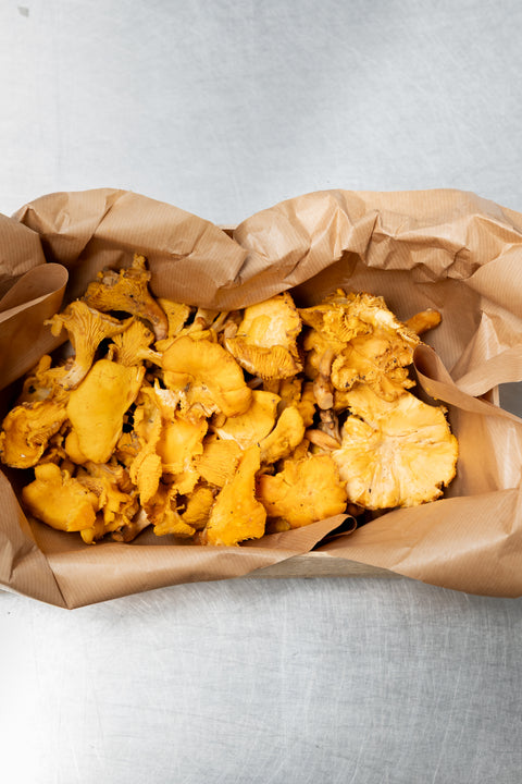 Girolle +5cm