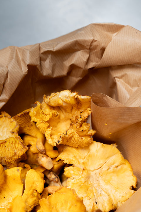 Girolle +5cm