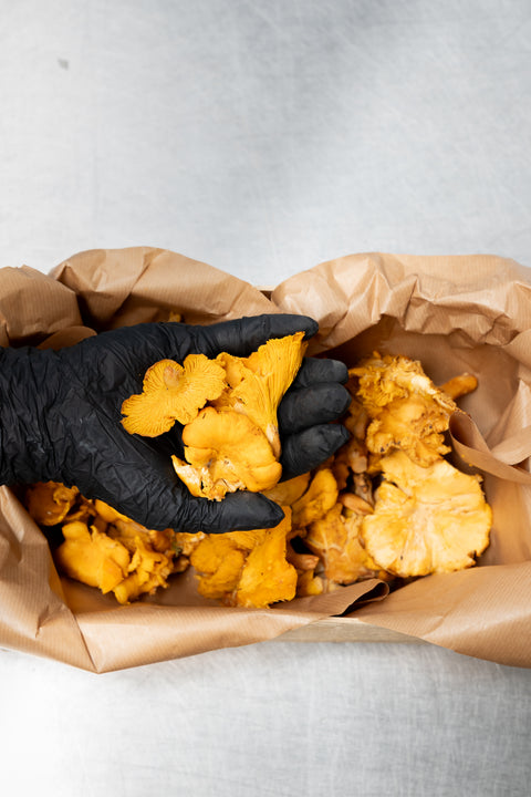 Girolle +5cm