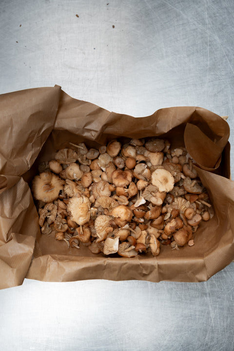 Mousseron 1kg
