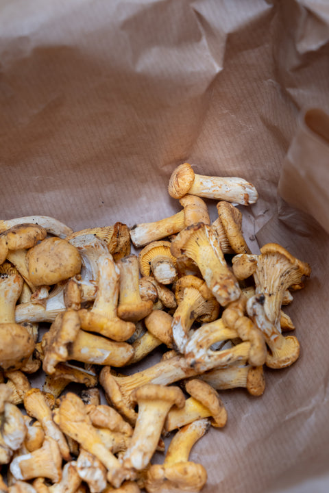 Girolle mini 2-3cm