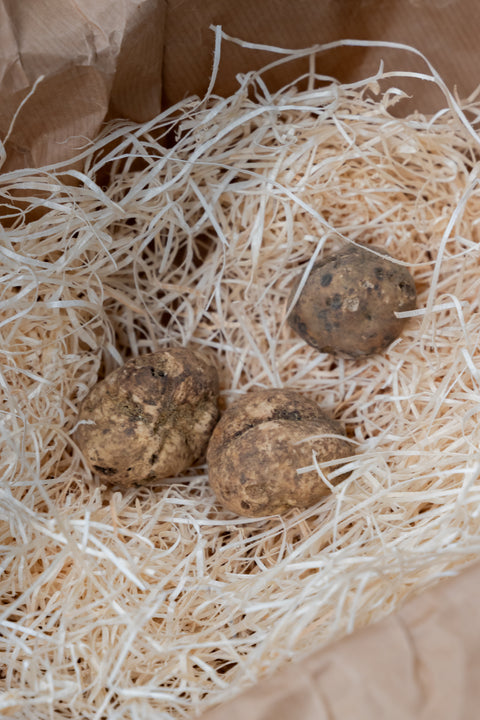 Witte truffel extra per gram