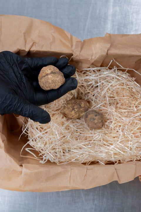 Witte truffel extra per gram