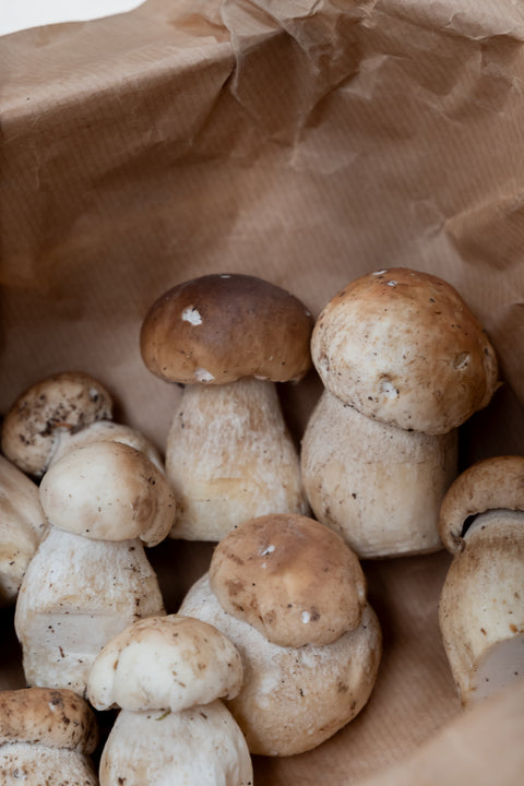 Cèpes extra bouchons