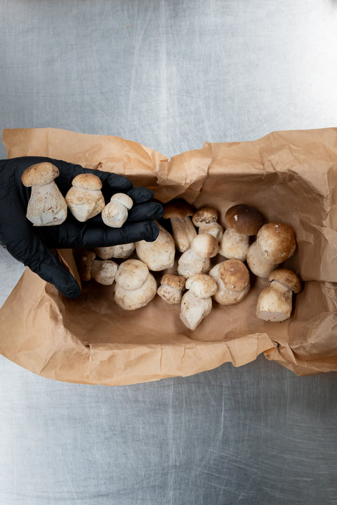 Cèpes extra bouchons
