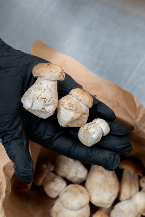 Cèpes extra bouchons