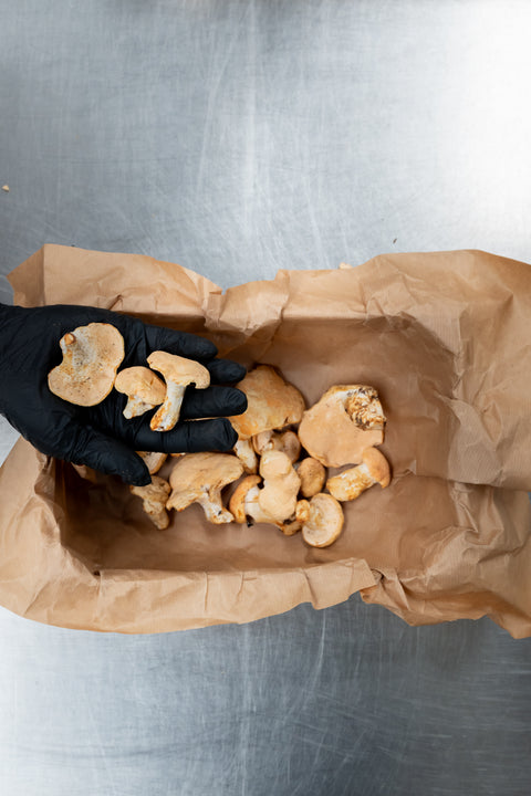 Pied-de-mouton 1kg